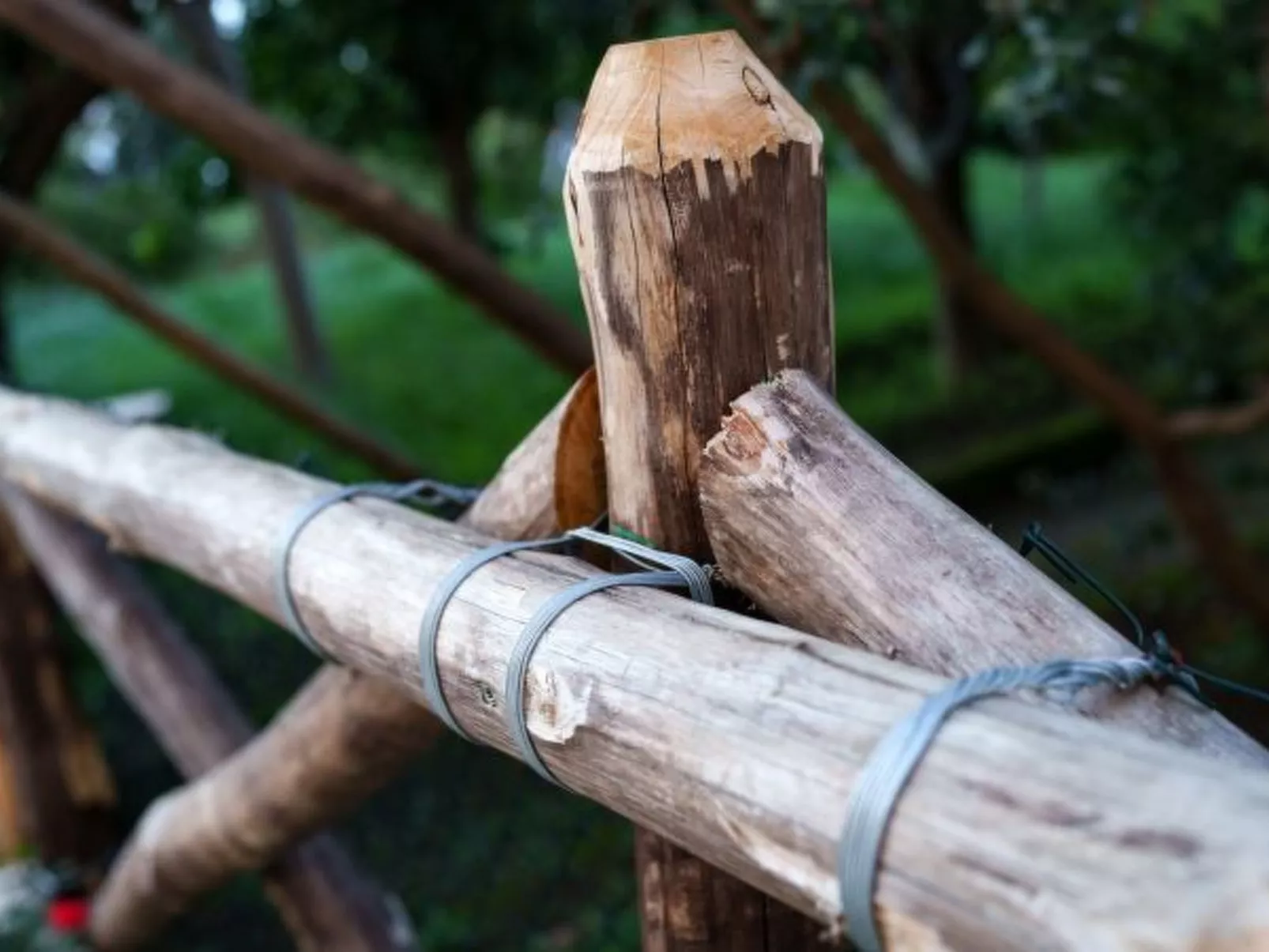 La Veranda di Villa Preziosa al Pizzo - Image-tags.info