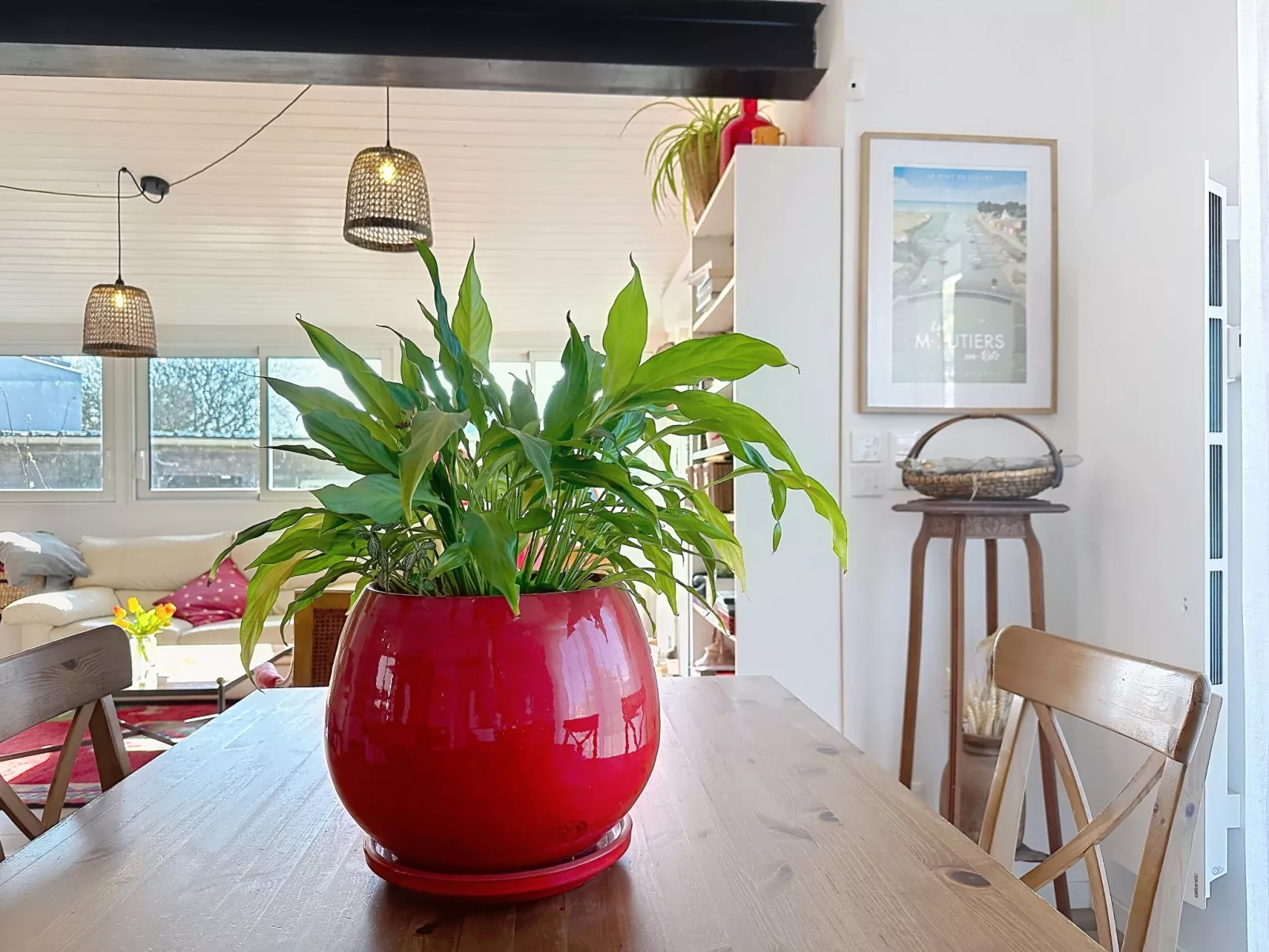 Les Rainettes - Binnen