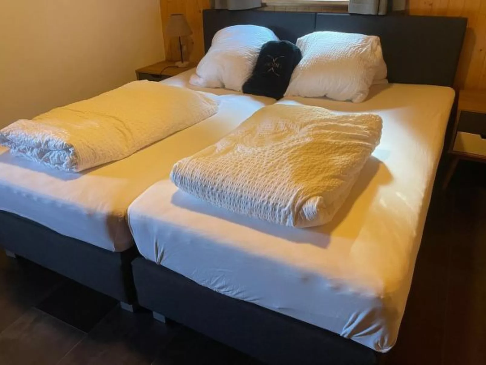 Tiny House facing the Alps - Ski in and out - Binnen