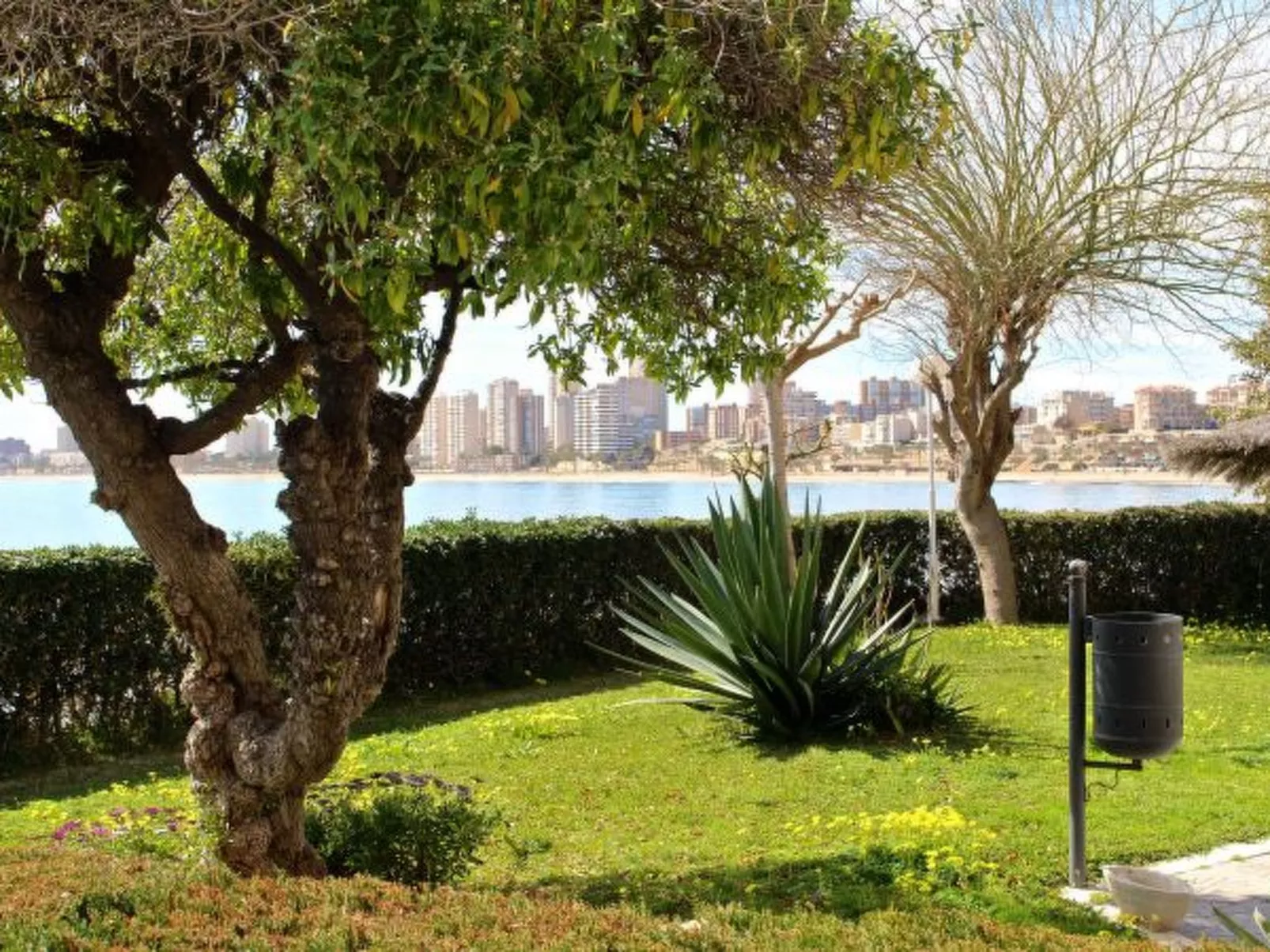 APARTAMENTO CABO AZUL - Image-tags.info