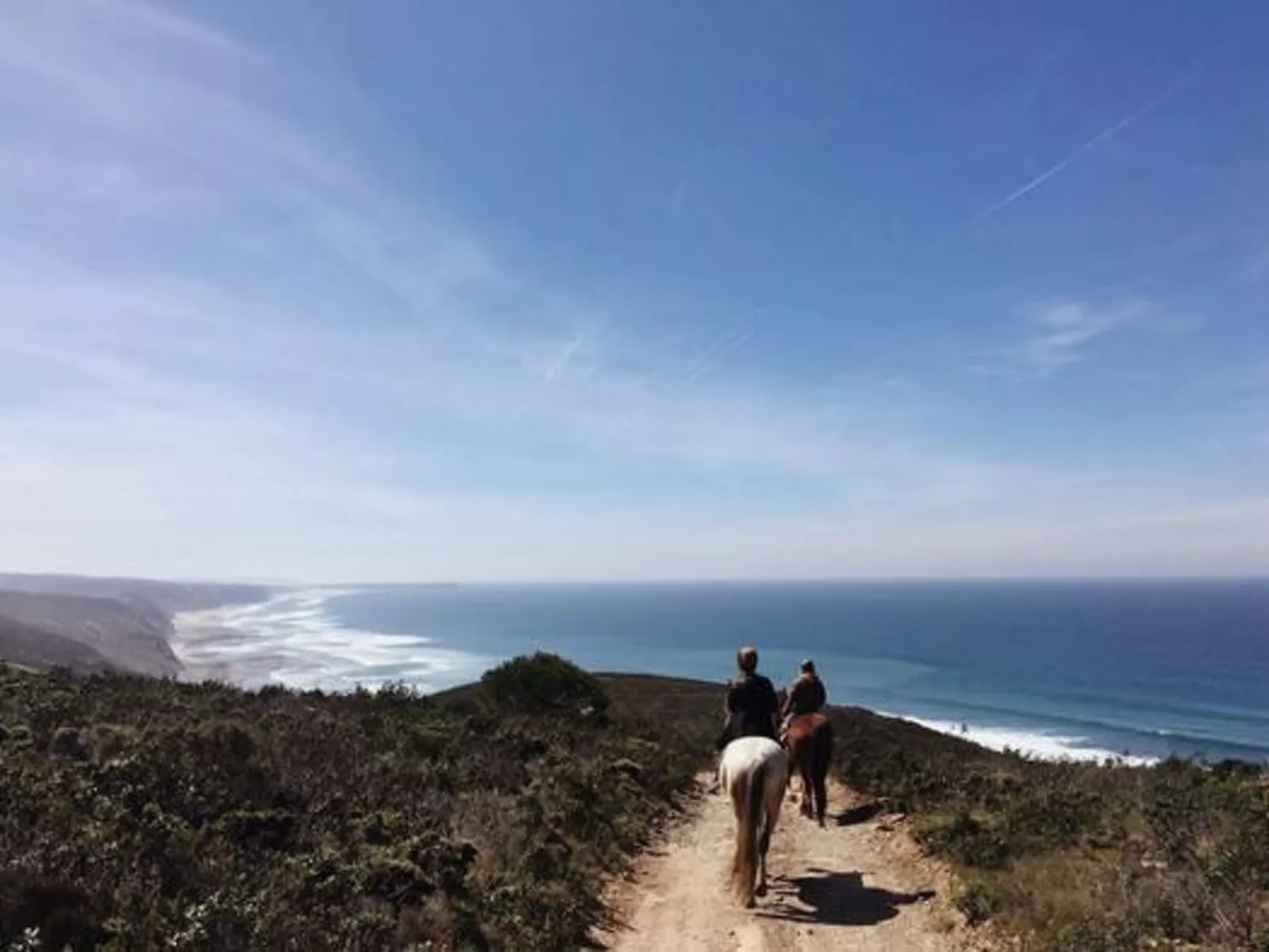 "The Natural Elements" - Buiten