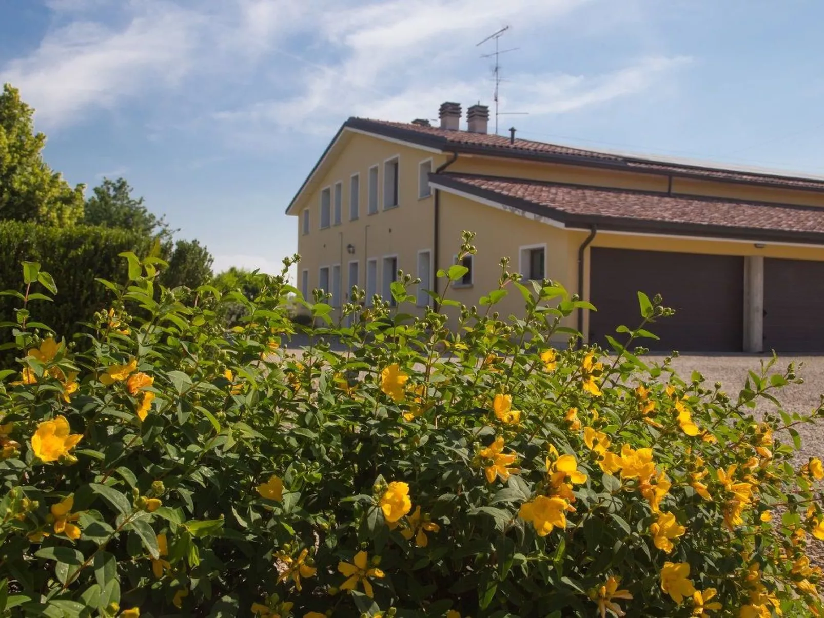Wohnung "Mimosa" auf einem Bauernhof - Buiten