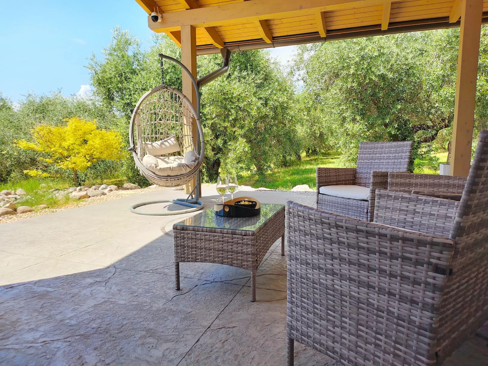 In einem spektakulären Olivenhain in einer ruhig - Image-tags.info