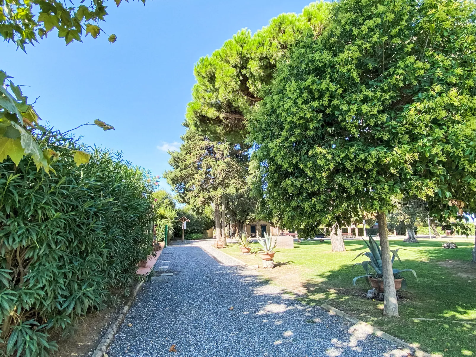 Cinquantina - Buiten