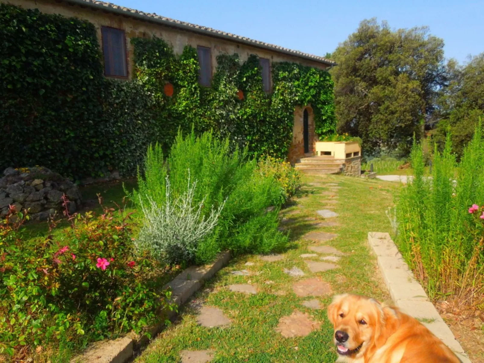 Mit Privatpool für 14 Personen ca. 260 m&sup2; in Trequanda, Toskana (Provinz S - Image-tags.info