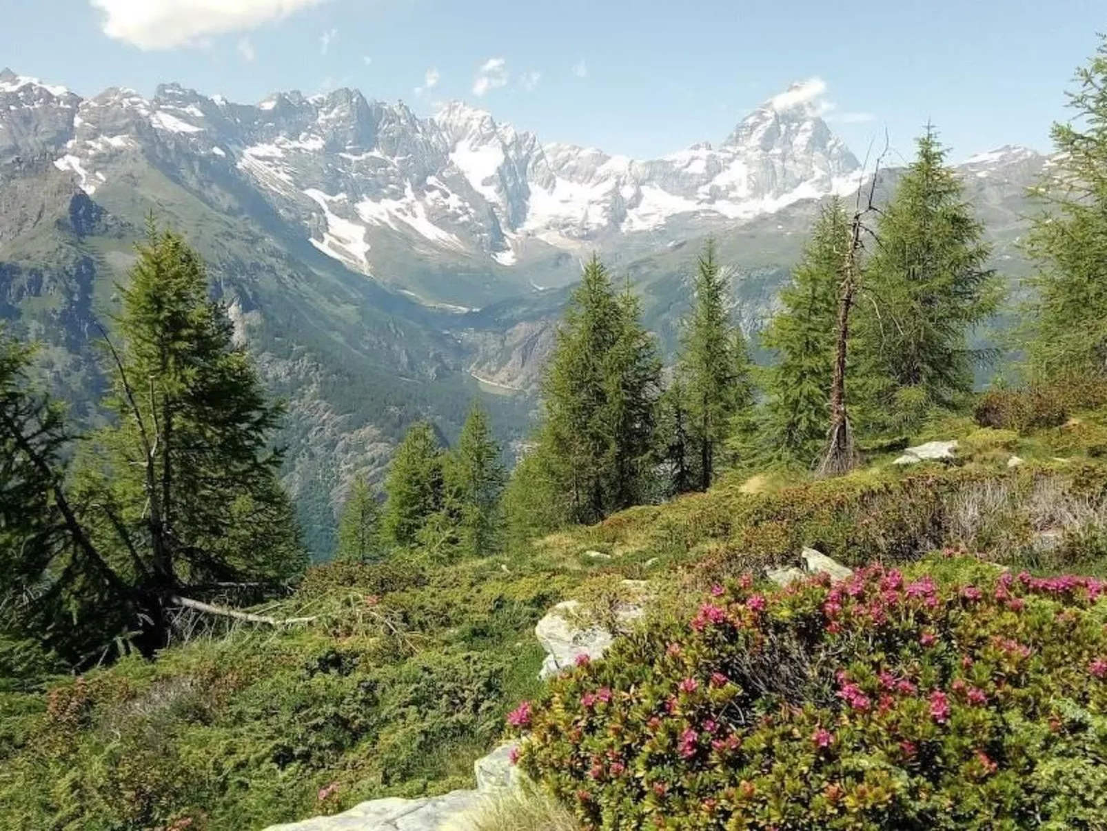 'Lo Chalet' der Balkon über dem Matterhorntal - Buiten