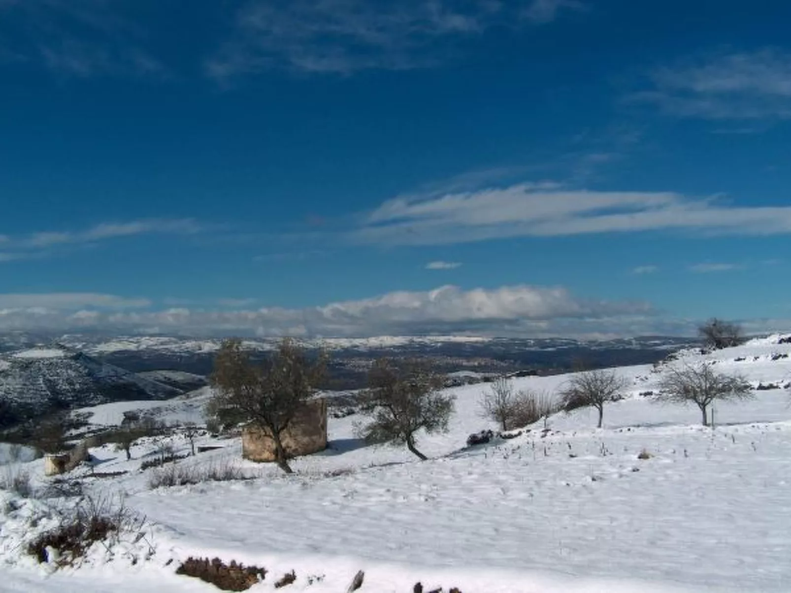 CASA LUIS GONZAGA - CONSELHEIRO by VACATIONY - Buiten