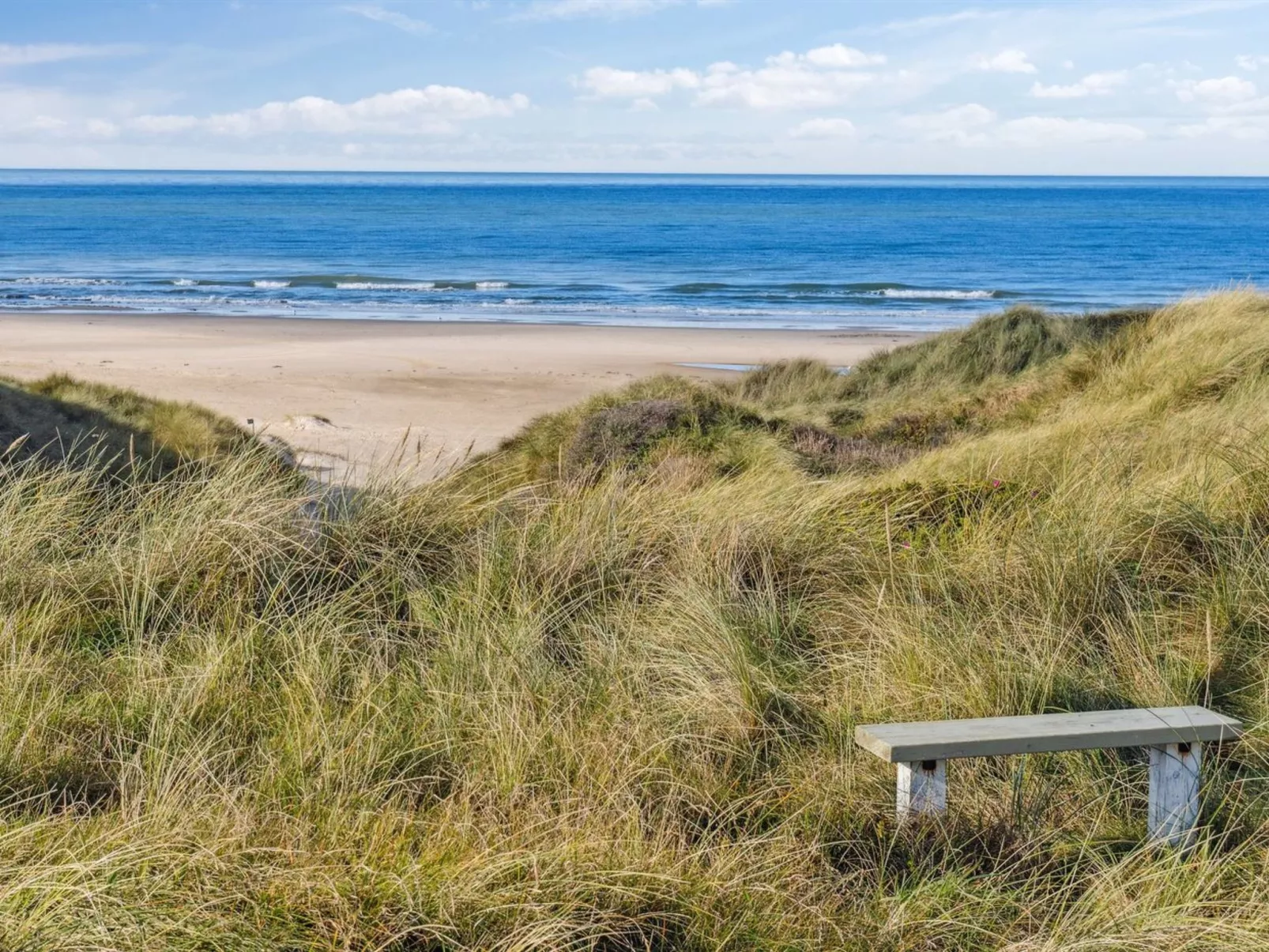 "Pihla" - 150m from the sea - Buiten