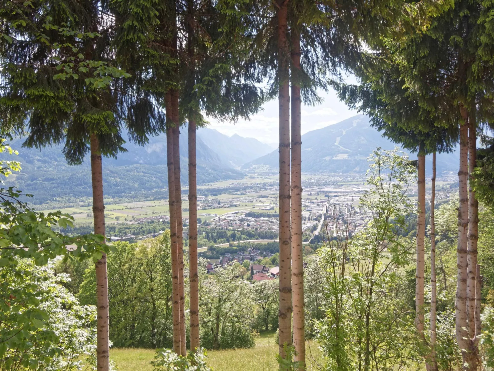 Jacob - Image-tags.info