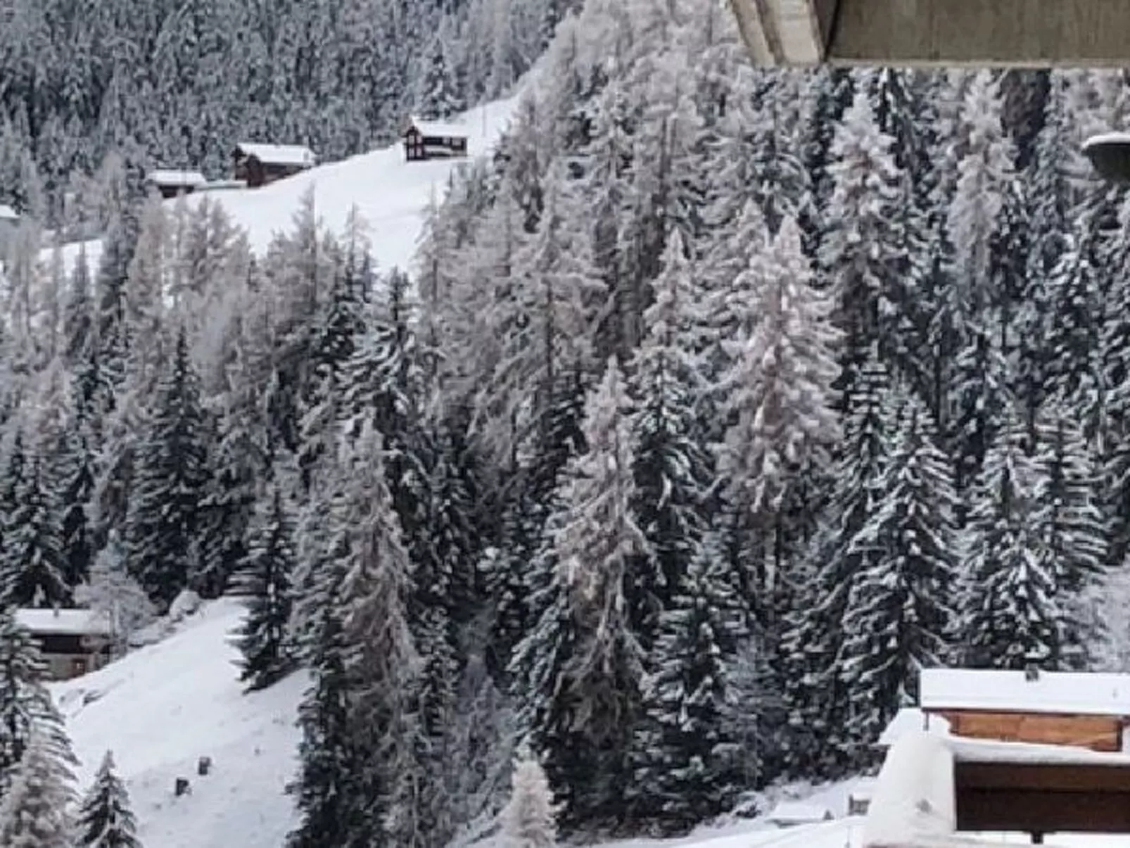 Le Rêve de nos Petites Marmottes - Buiten