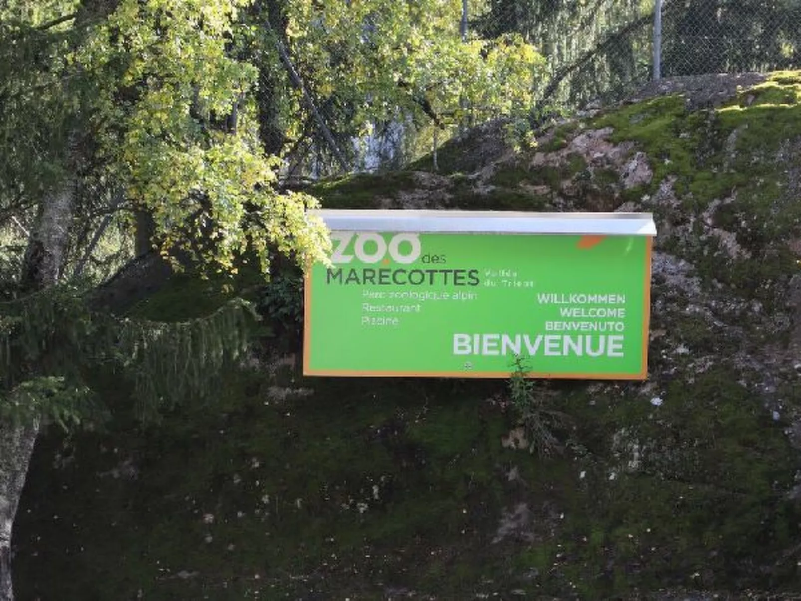 Cosy & Star - Salvan - Les Marécottes - Swiss Alps - Buiten