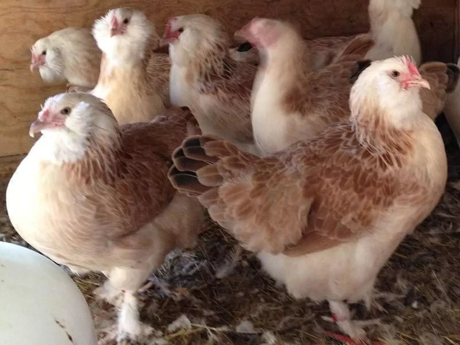 Am See Skagern - Image-tags.info