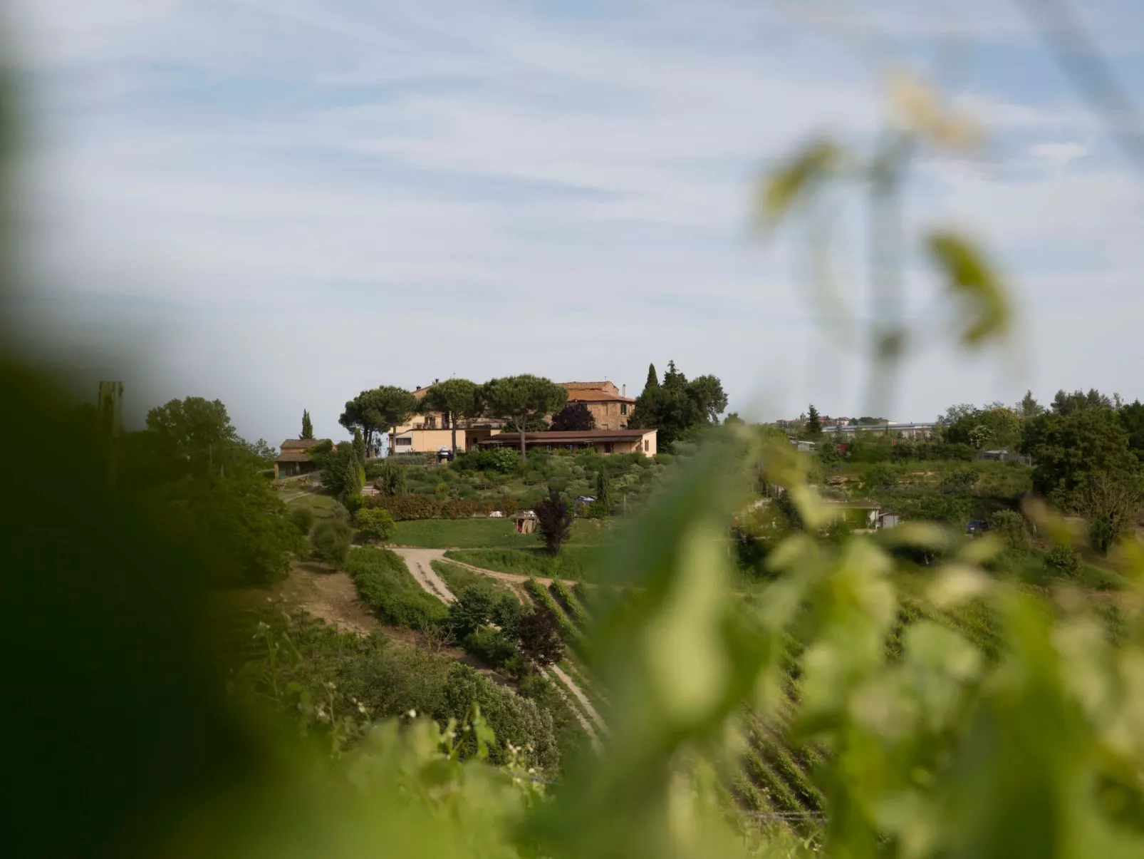 Agriturismo Poggio Pistolese - Zimmer La Ginestra - Buiten