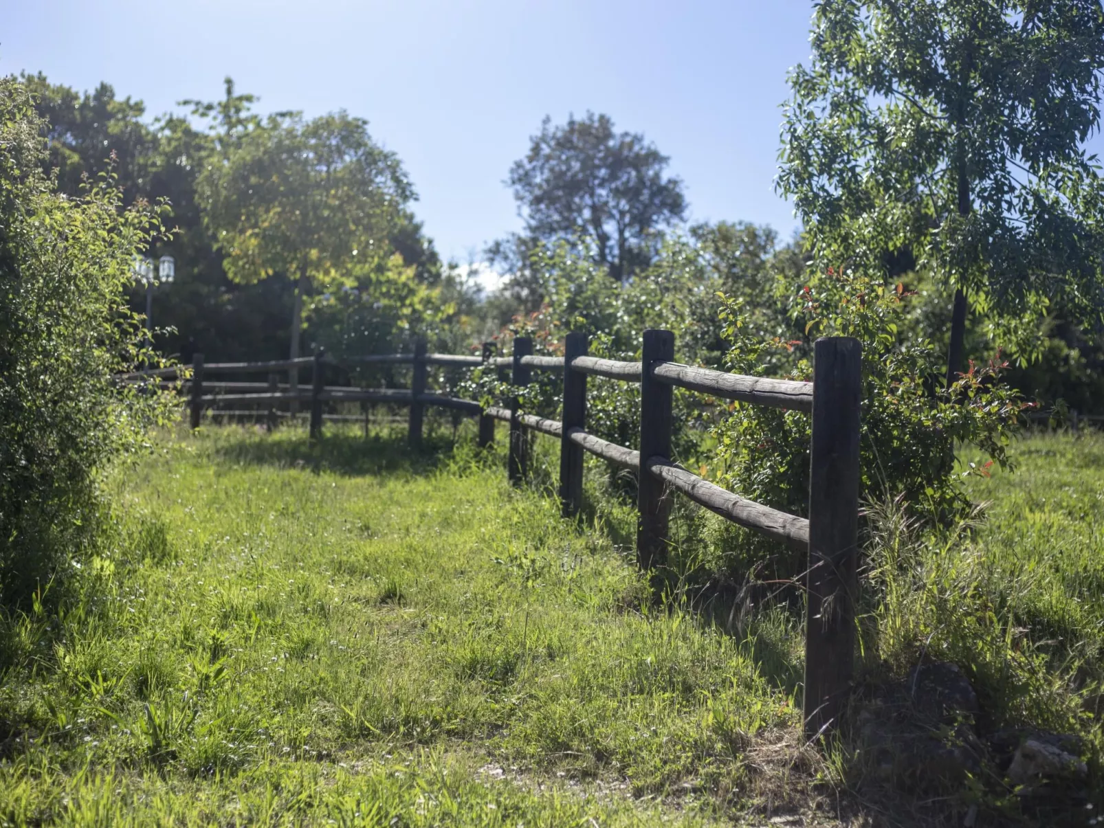 Rural Médulas Haus 1. für 4 PAX belegt. - Buiten