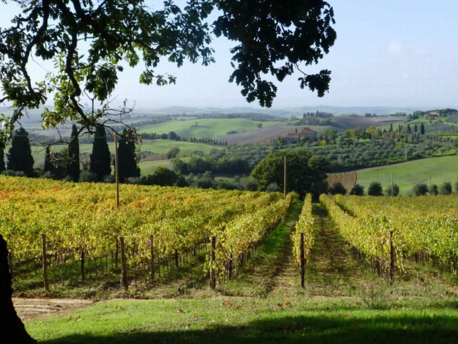 Mit Privatpool für 14 Personen ca. 260 m&sup2; in Trequanda, Toskana (Provinz S - Buiten