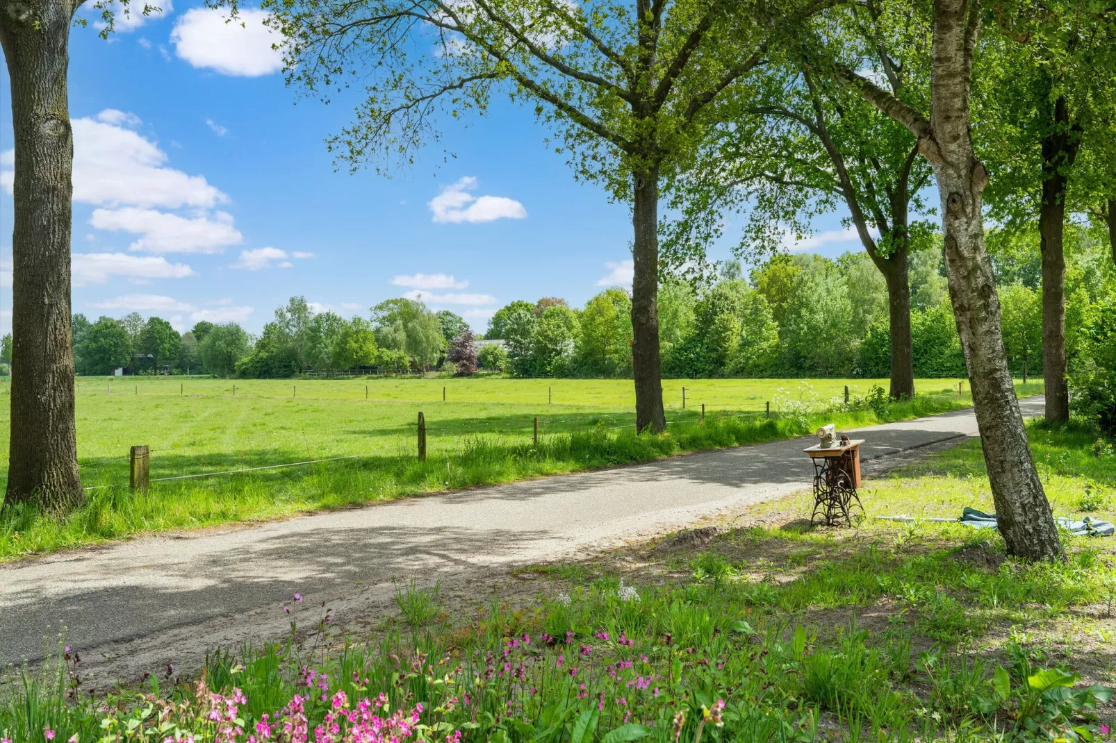 Home Den Ham-Gebieden zomer 5km