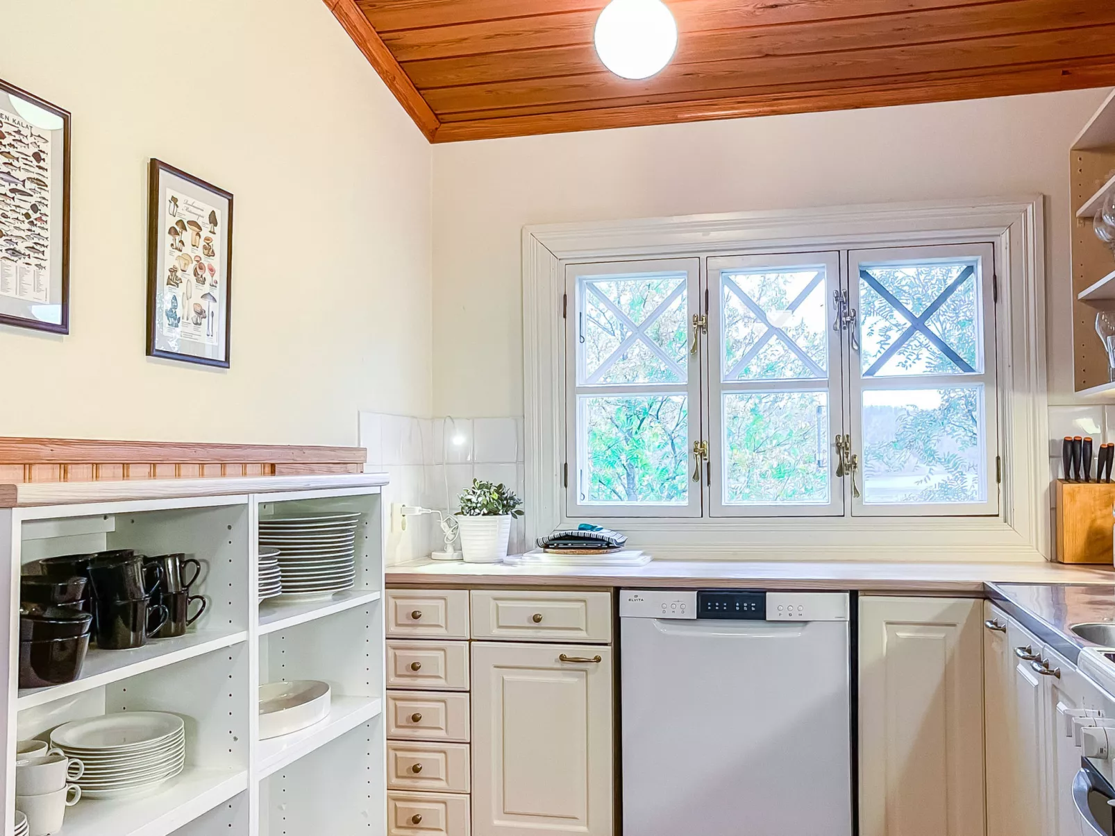 Peltosirkku - Binnen