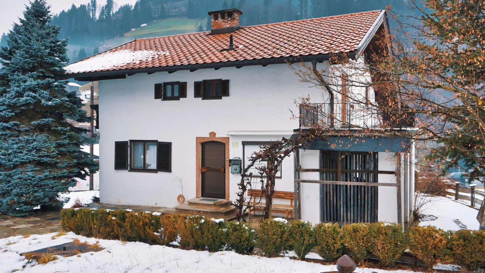 Platzhirsch-Exterieur winter