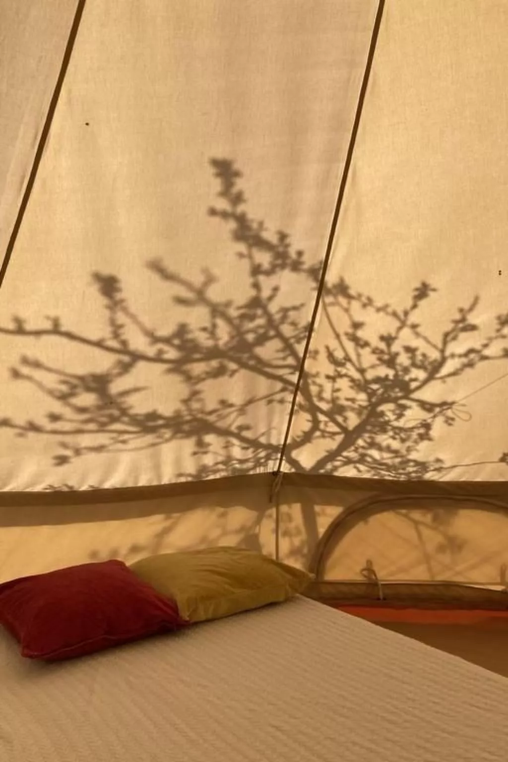 Zeltferien Into the Wäid "Zelt unter der Esche" - Image-tags.info