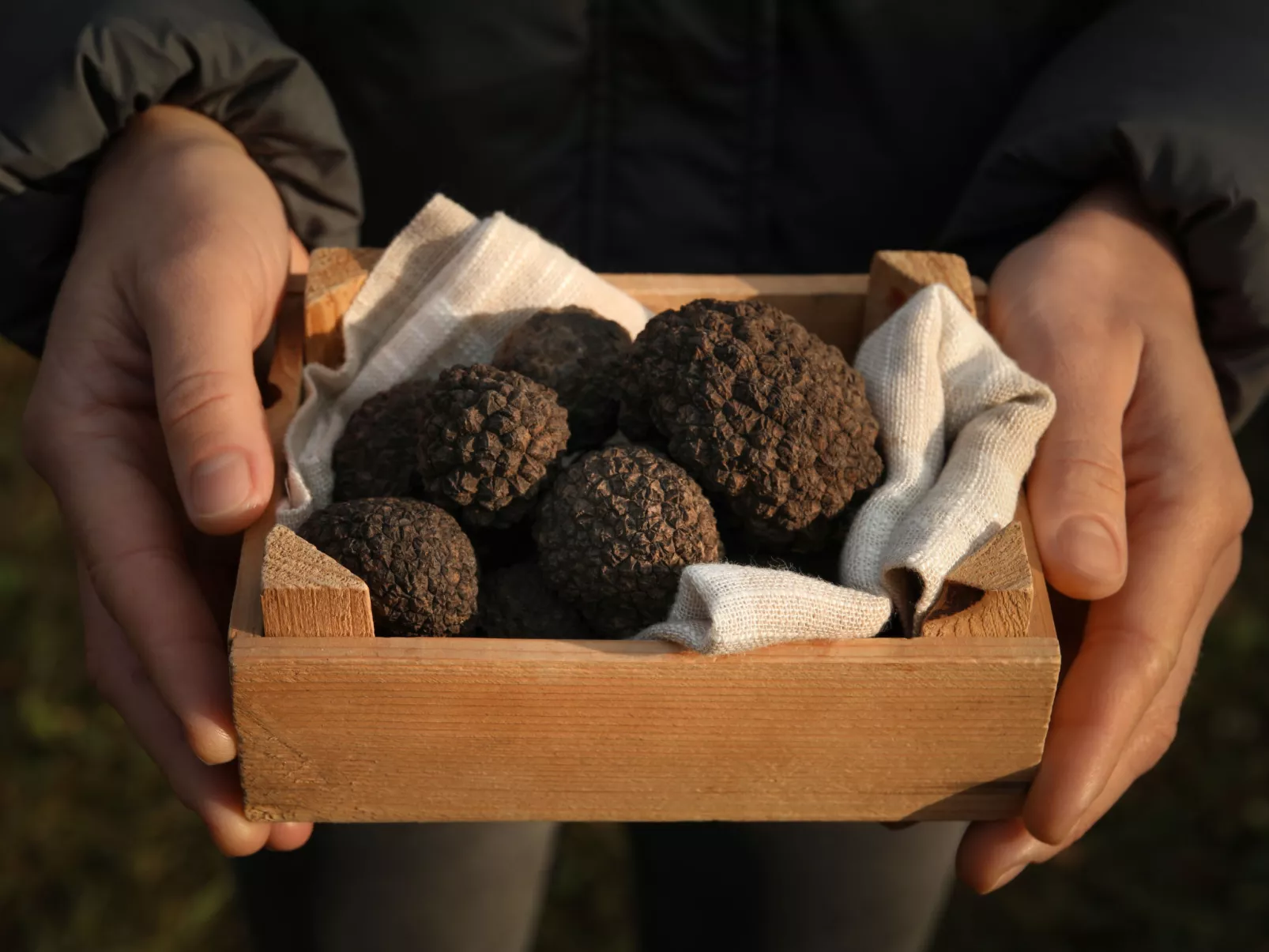 Villa 2129 - Omgeving