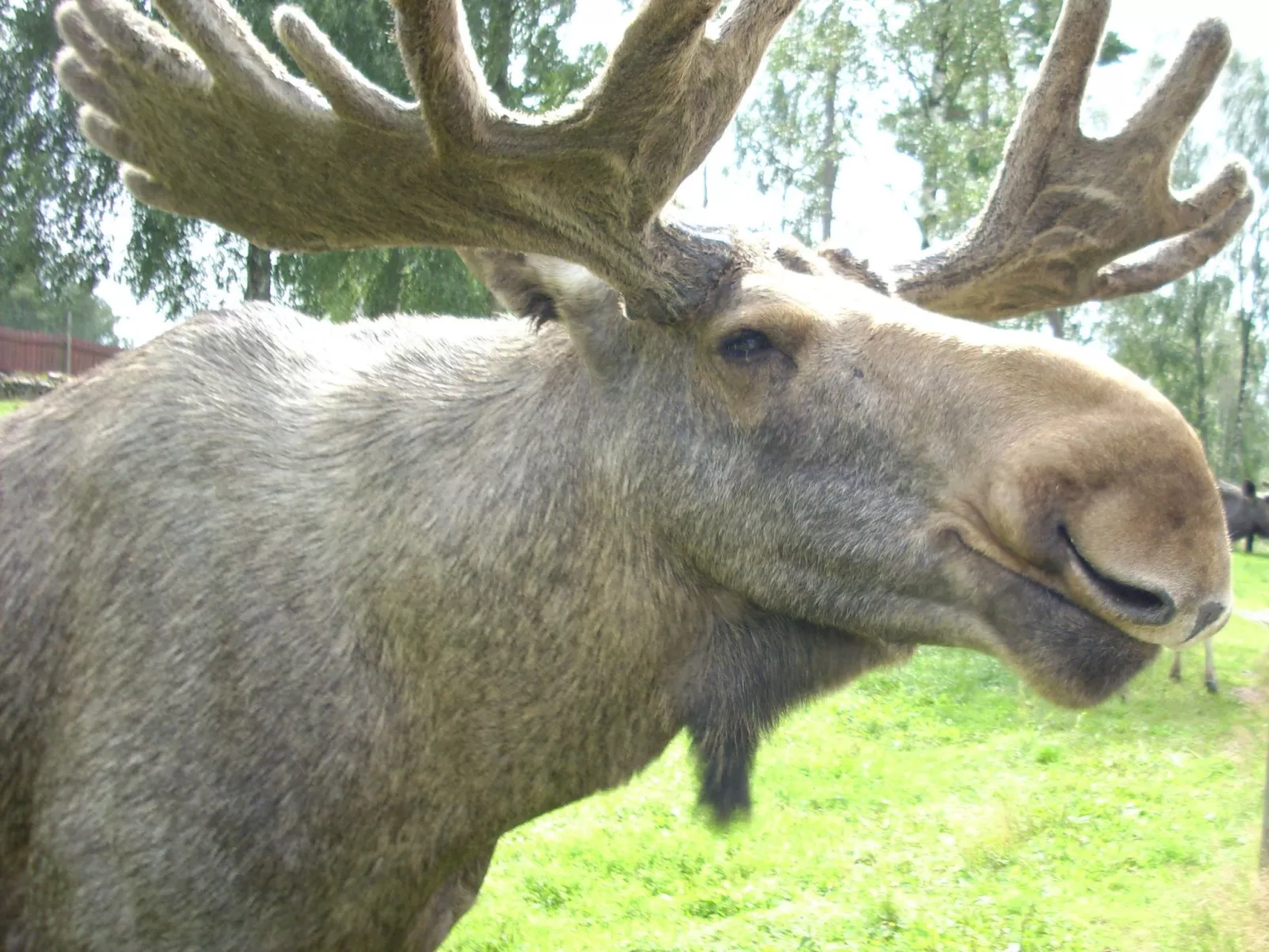 Cottage mit Whirlpool - Buiten