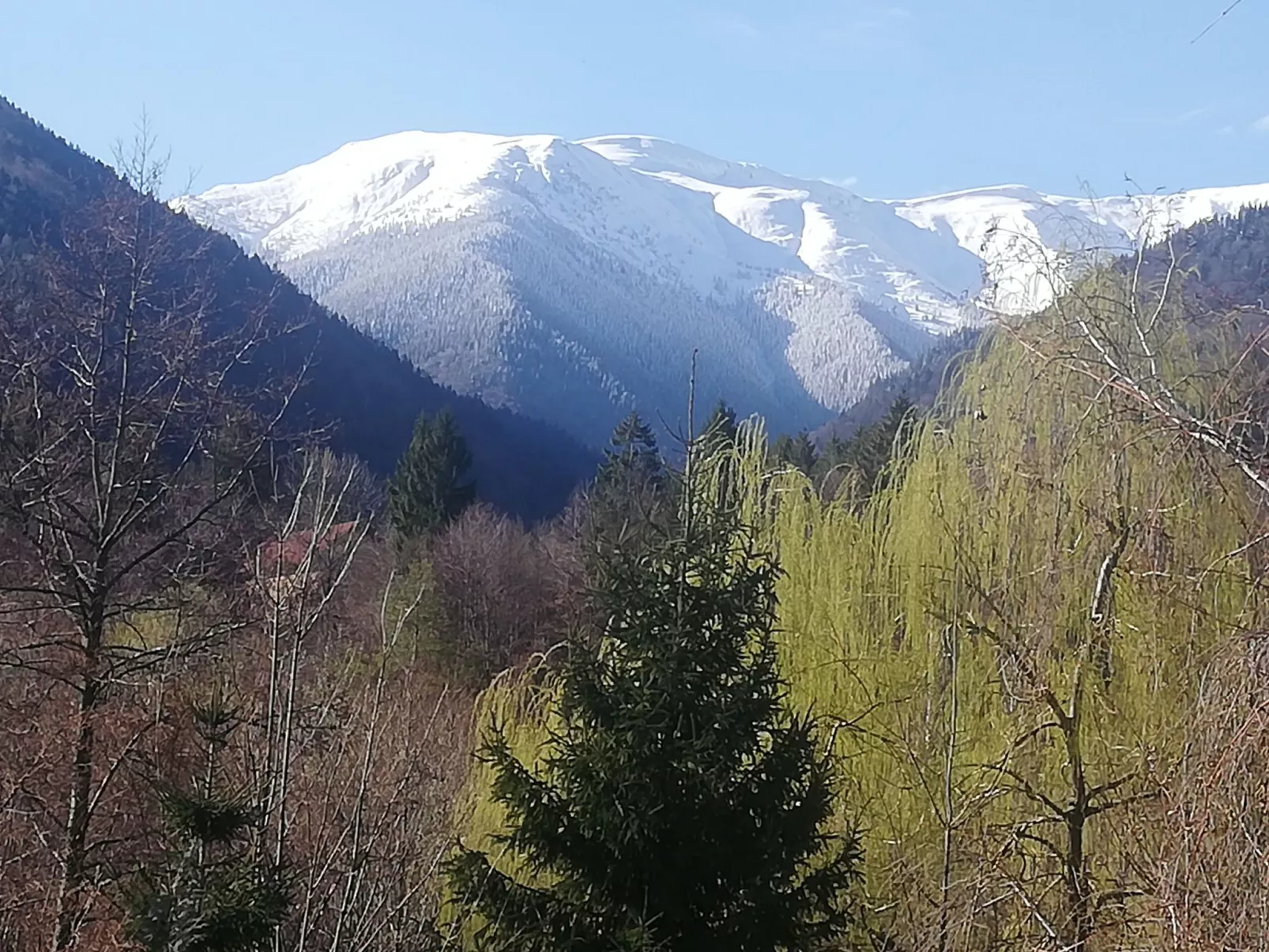 Vila Roberta Breaza Brasov - Buiten