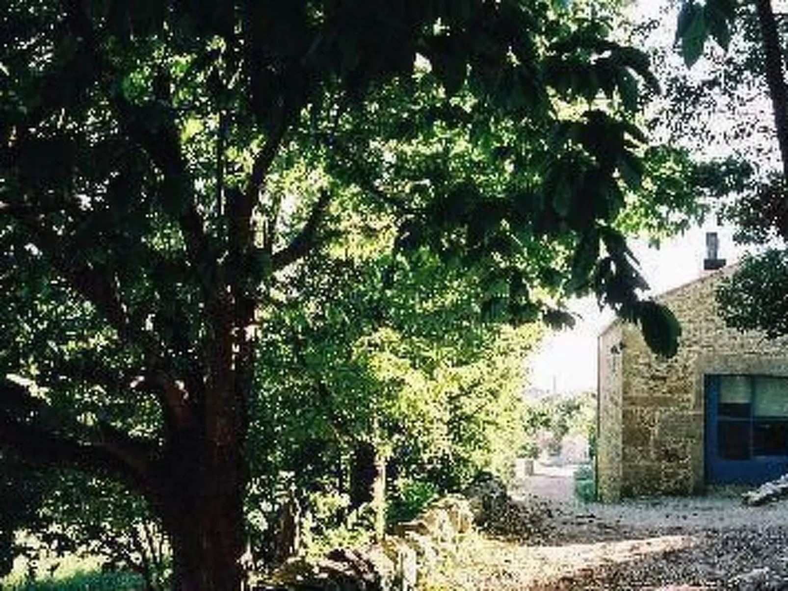 NATUR IN IHRER REINSTEN FORM - Image-tags.info