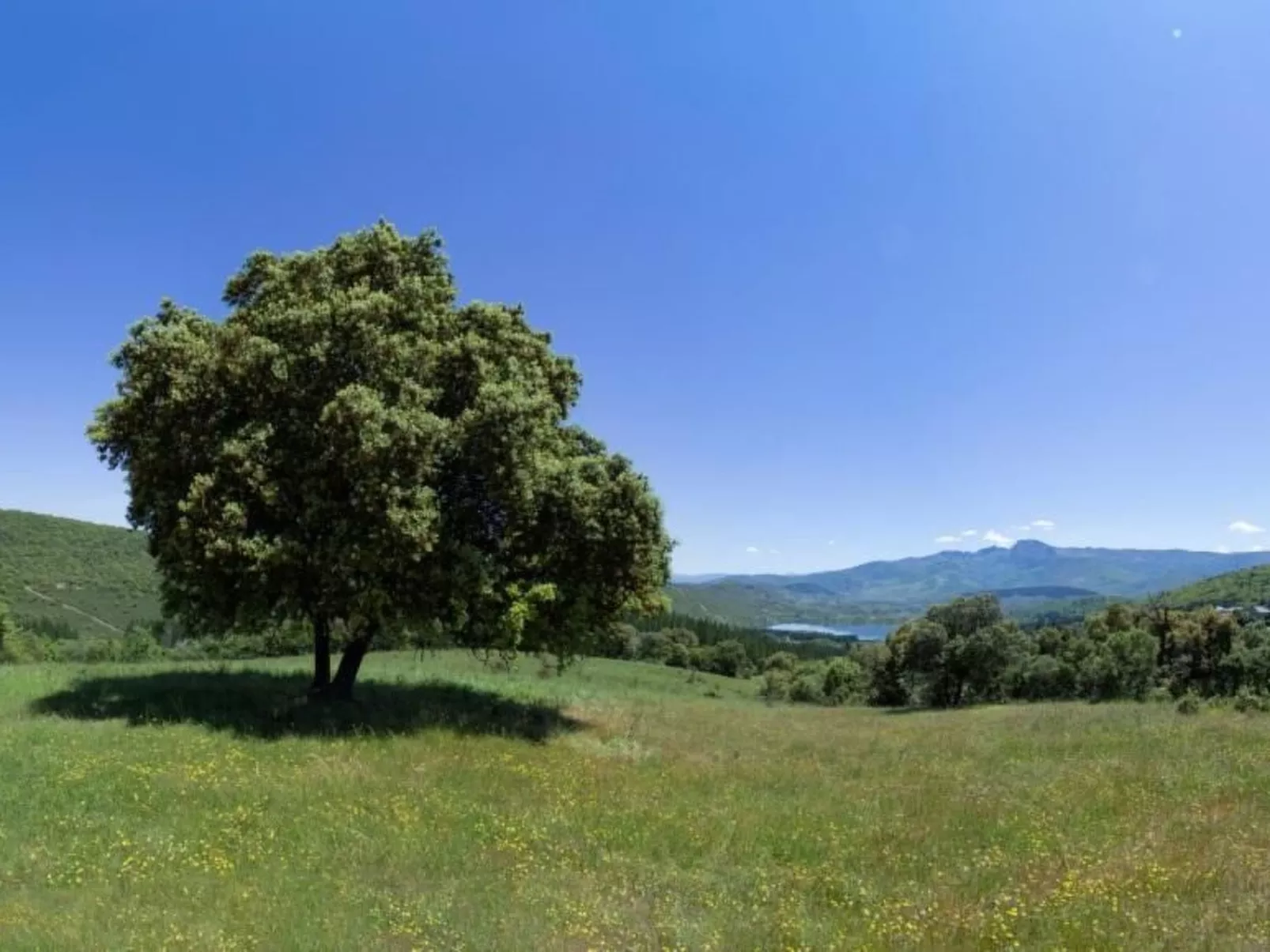 Rural Médulas Haus 1. für 4 PAX belegt. - Buiten