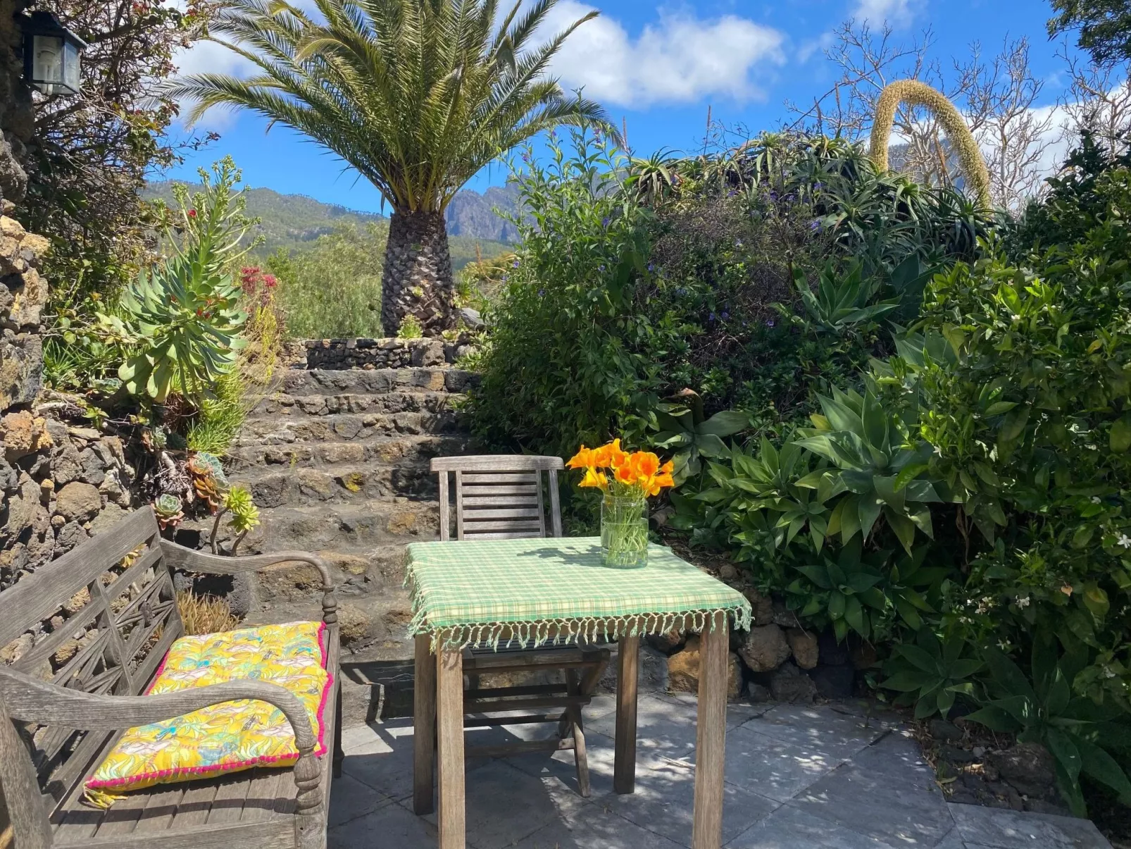 Las Tortugas - Image-tags.info