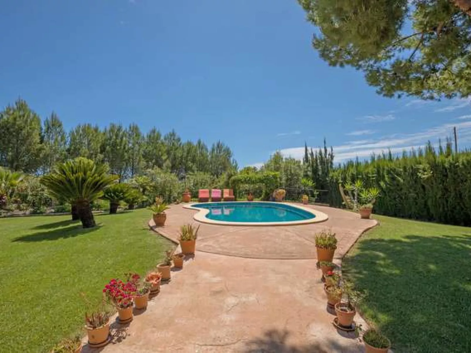 San Vicente - Image-tags.info