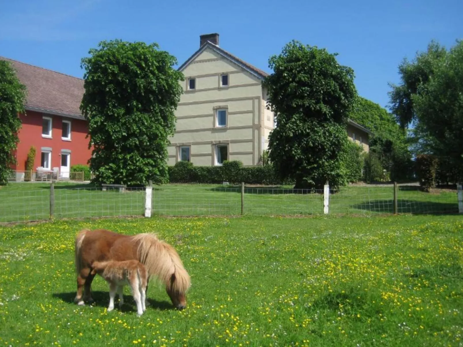 Bungalowpark Landsrade - Buiten