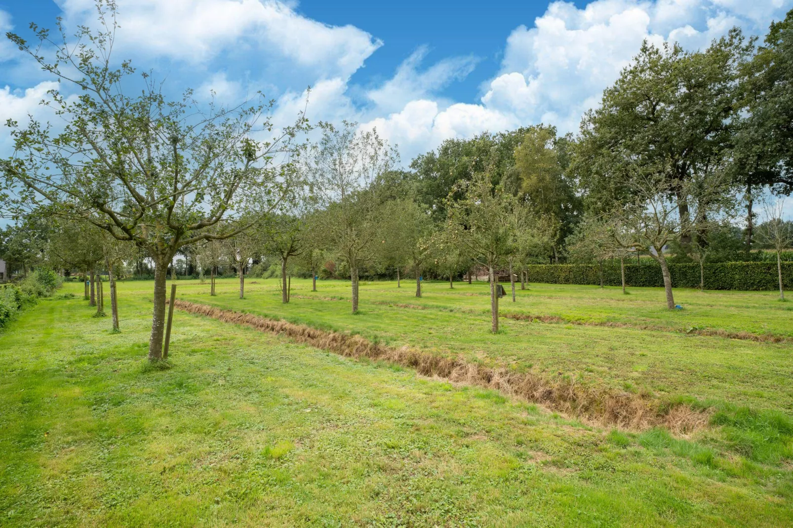 Boerderij No 1-Tuinen zomer