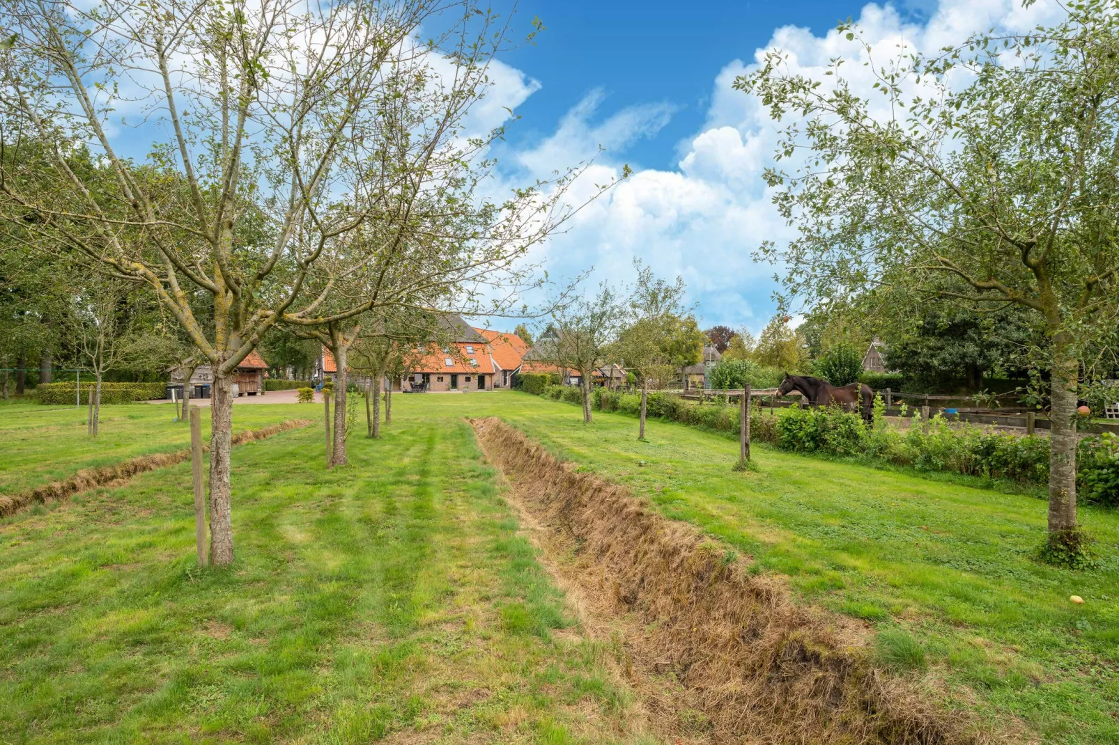 Boerderij No 1-Tuinen zomer