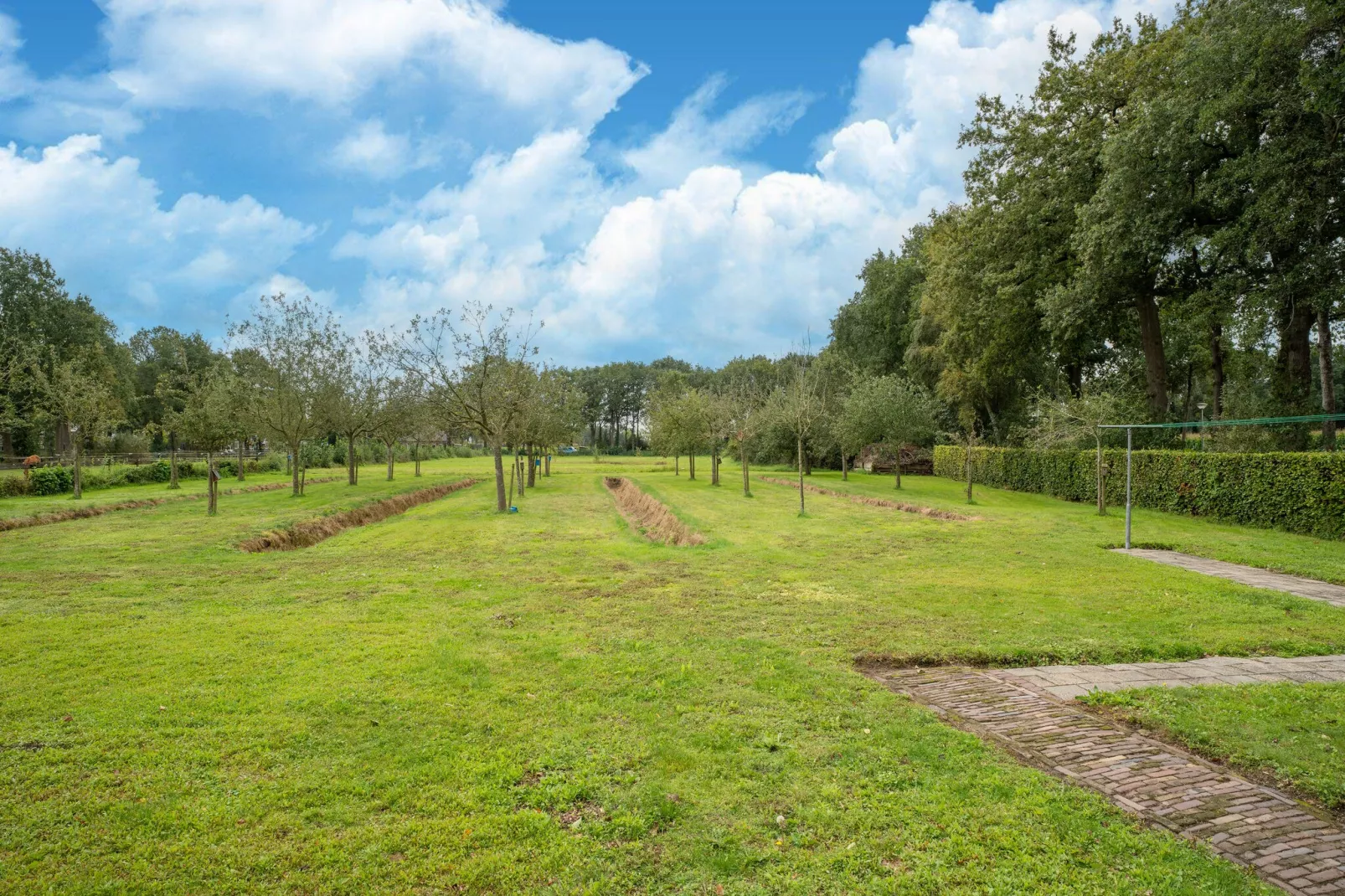 Boerderij No 1-Uitzicht zomer