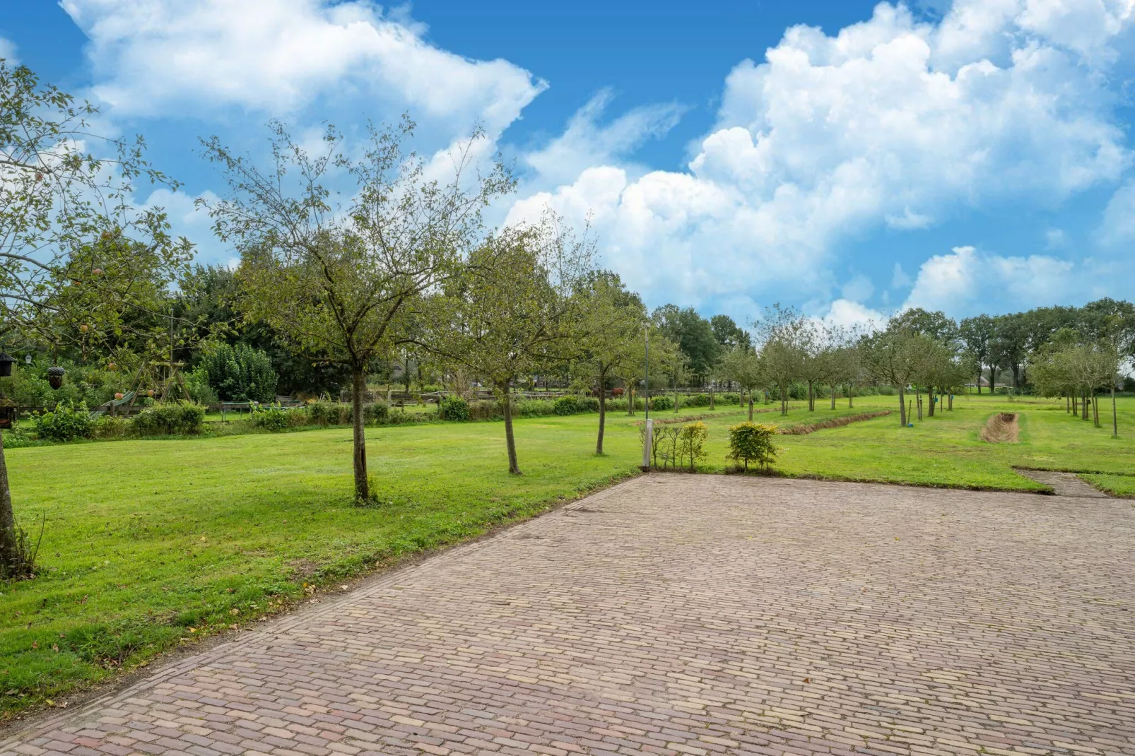 Boerderij No 1-Uitzicht zomer