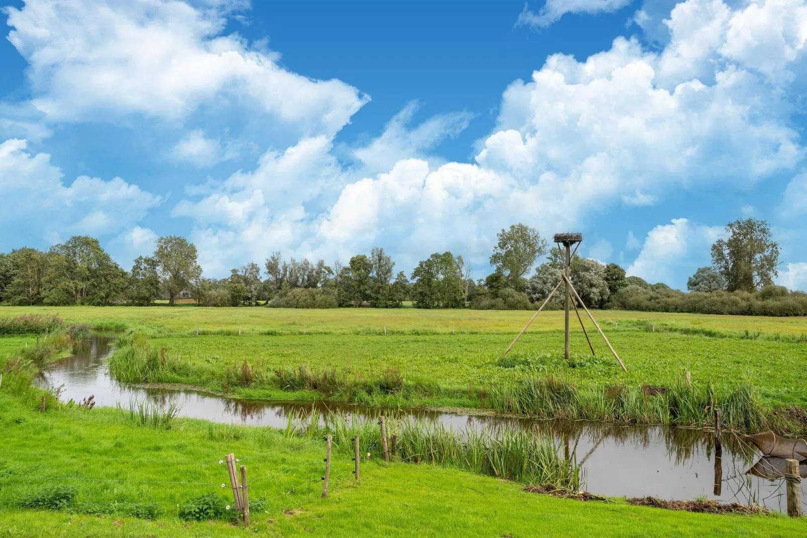 Boerderij No 1-Gebieden zomer 1km