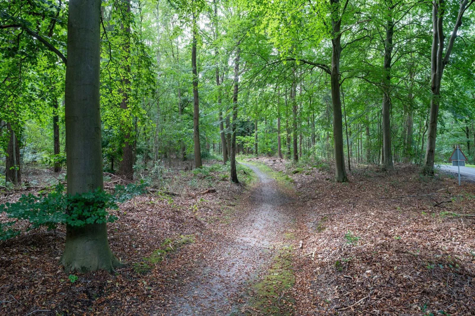 Boerderij No 1-Gebieden zomer 5km