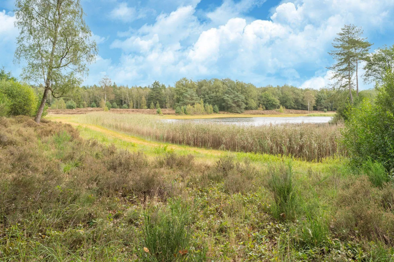 Boerderij No 1-Gebieden zomer 20km