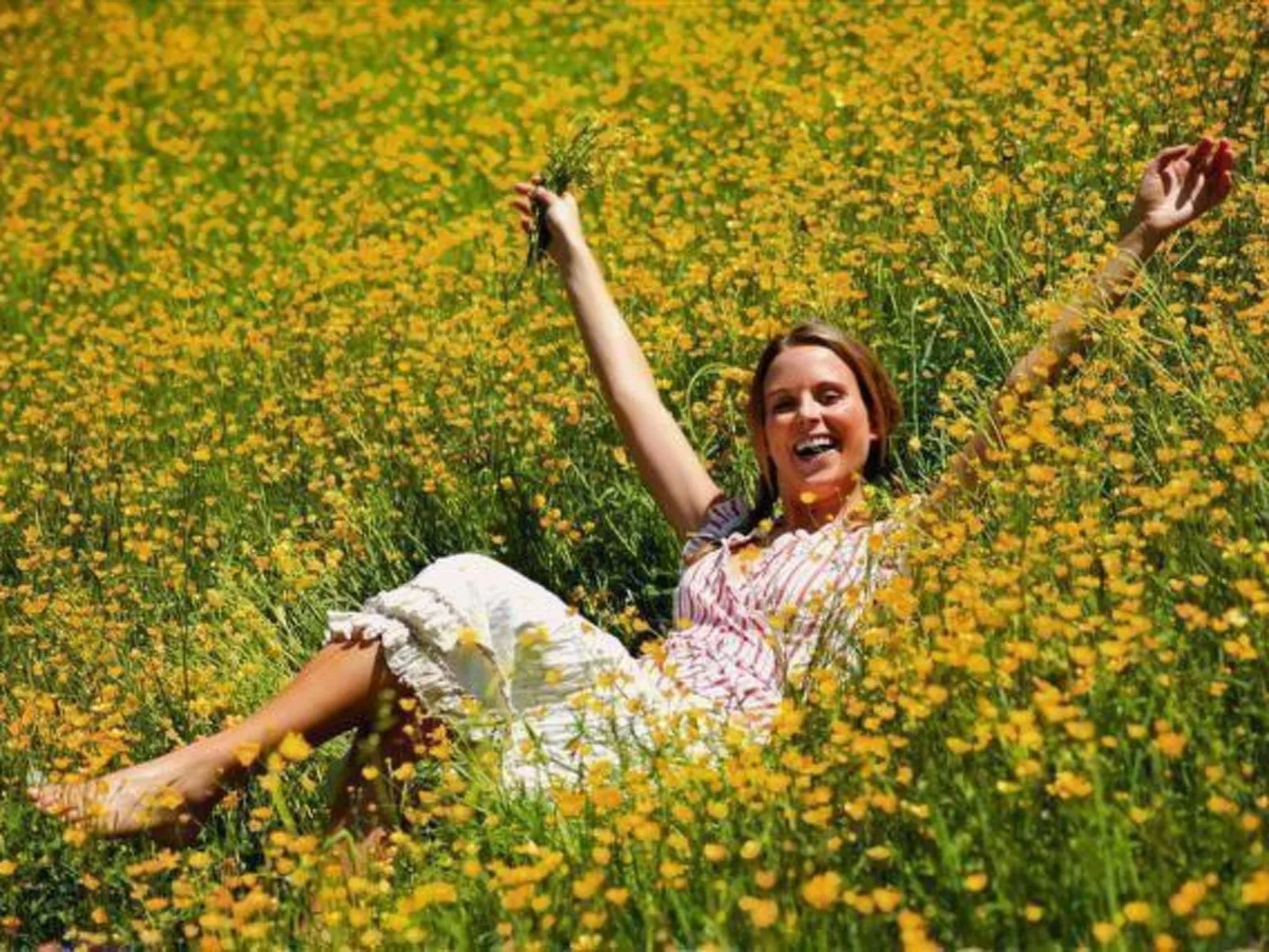 Rosskopf - Image-tags.info