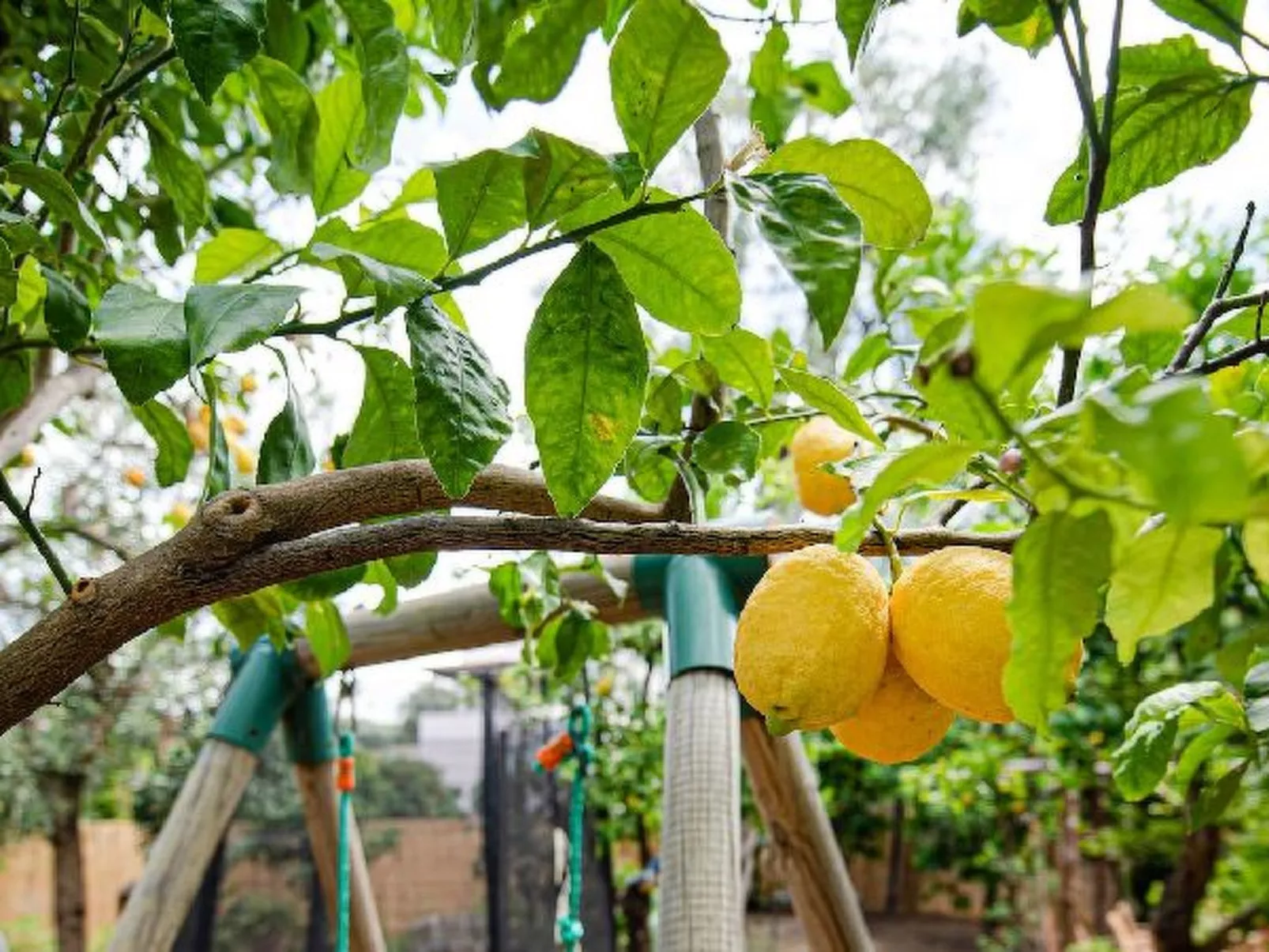 My  Home Sorrento - Image-tags.info