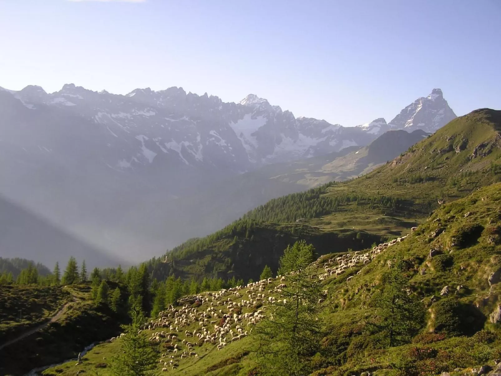 'Lo Chalet' der Balkon über dem Matterhorntal - Buiten