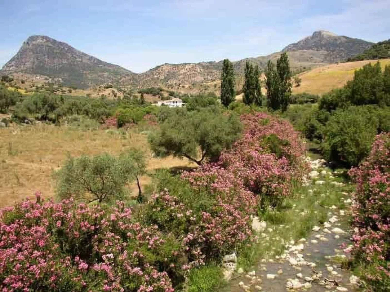 Mit Terrasse in der Nähe eines Wasserfalls - Buiten