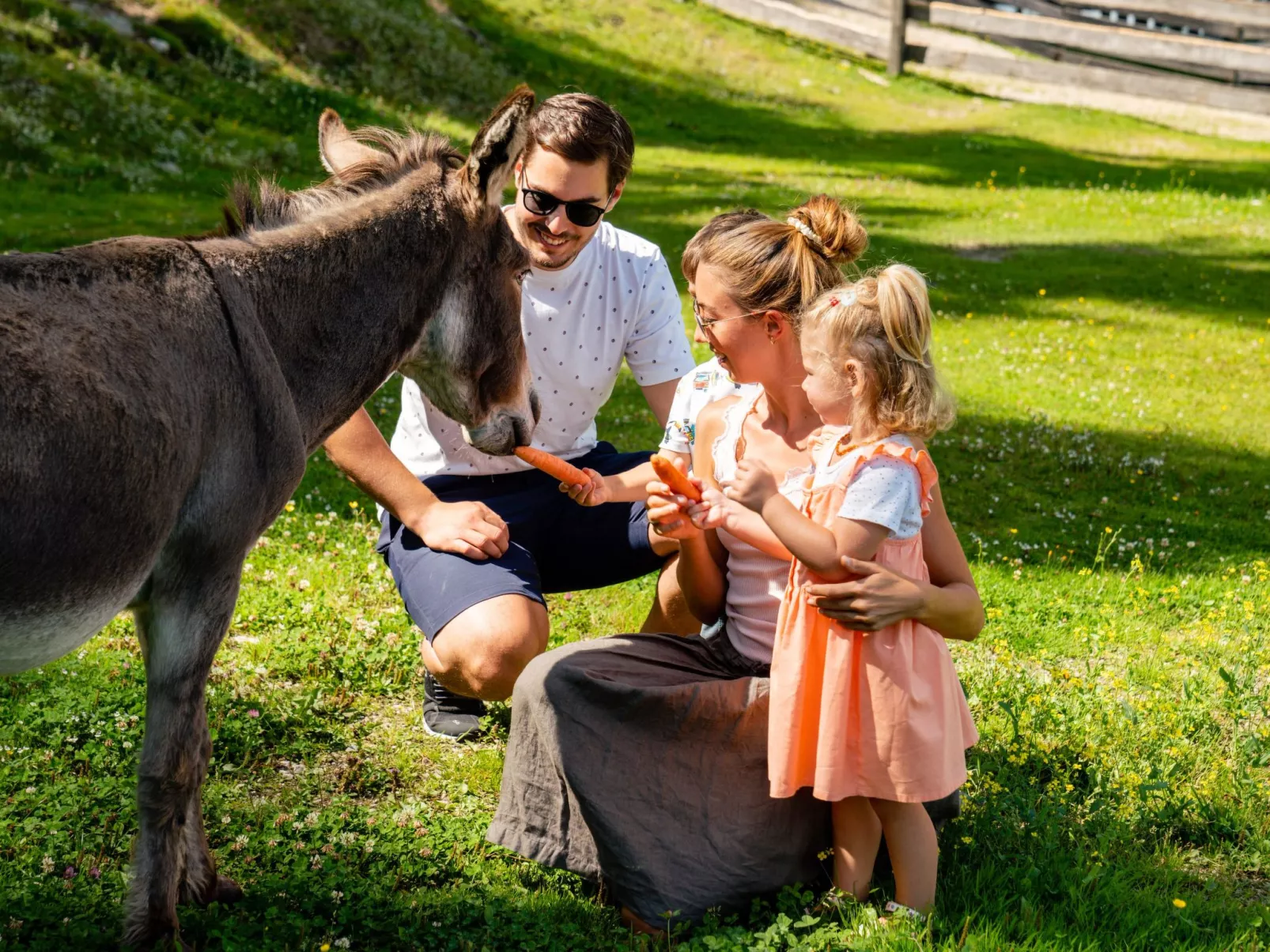 Premium Waldjuwel - Binnen