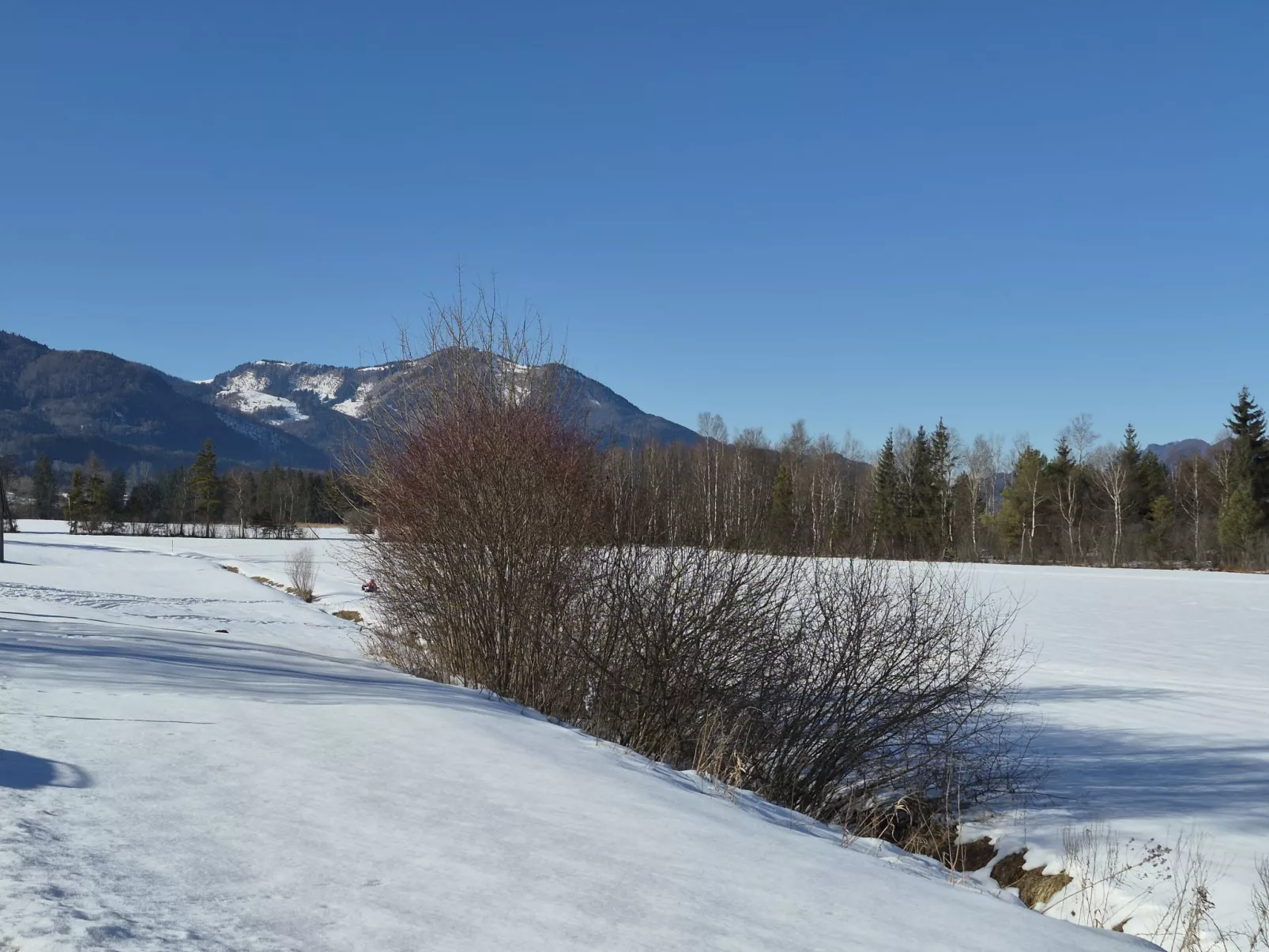 Wohnung 414 Bergblick - Buiten