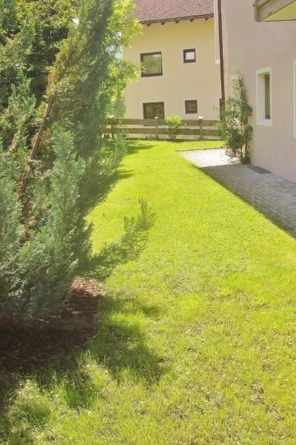 Rosskopf - Image-tags.info