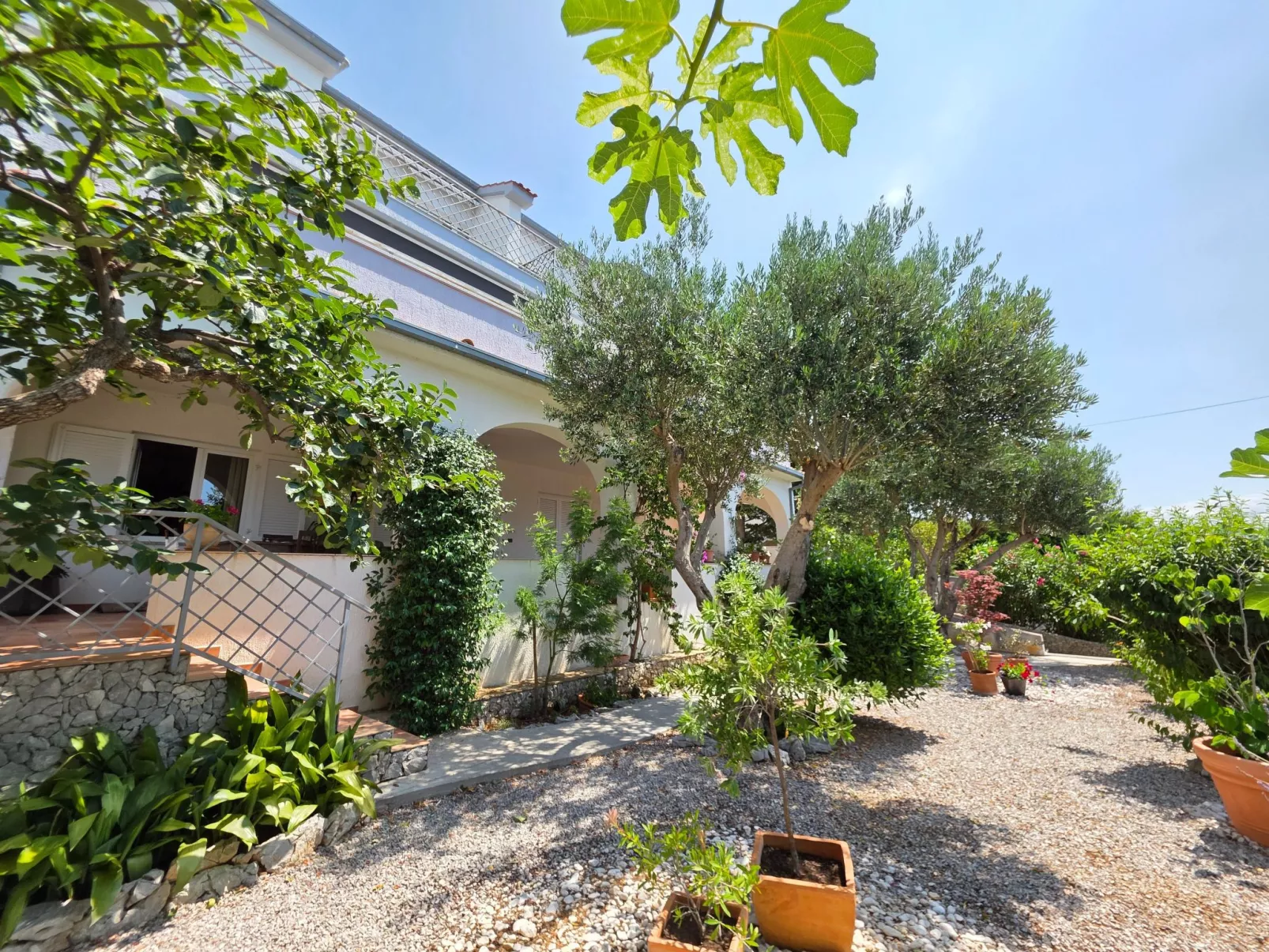 Zimmer für 2, mit Terrasse und Meerblick, ohne Küche - Buiten