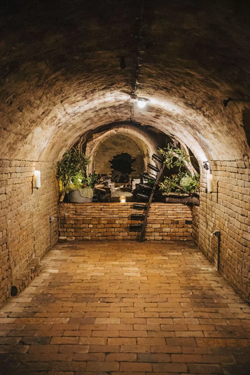 Weinfass-Suite für 2 in Grub an der March - Binnen