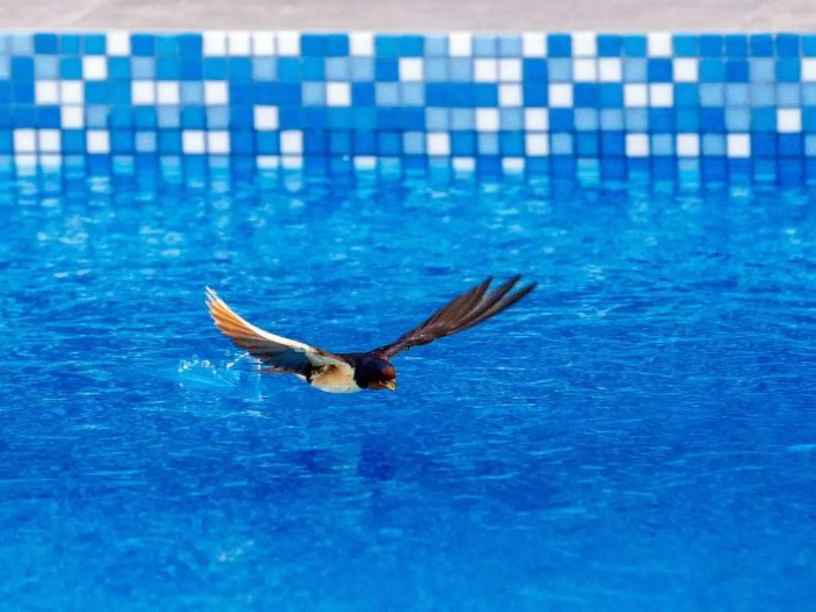 Villa Enna with heated pool - Image-tags.info