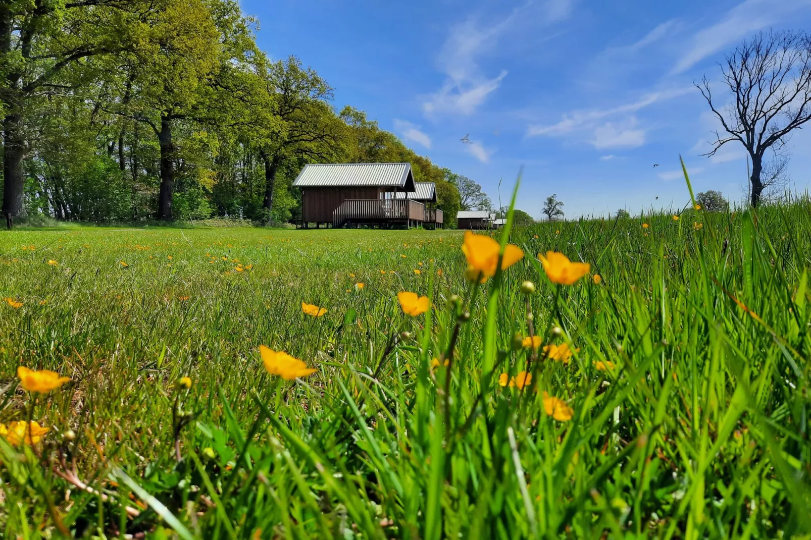 Acker Lodges 4-Buitenkant zomer