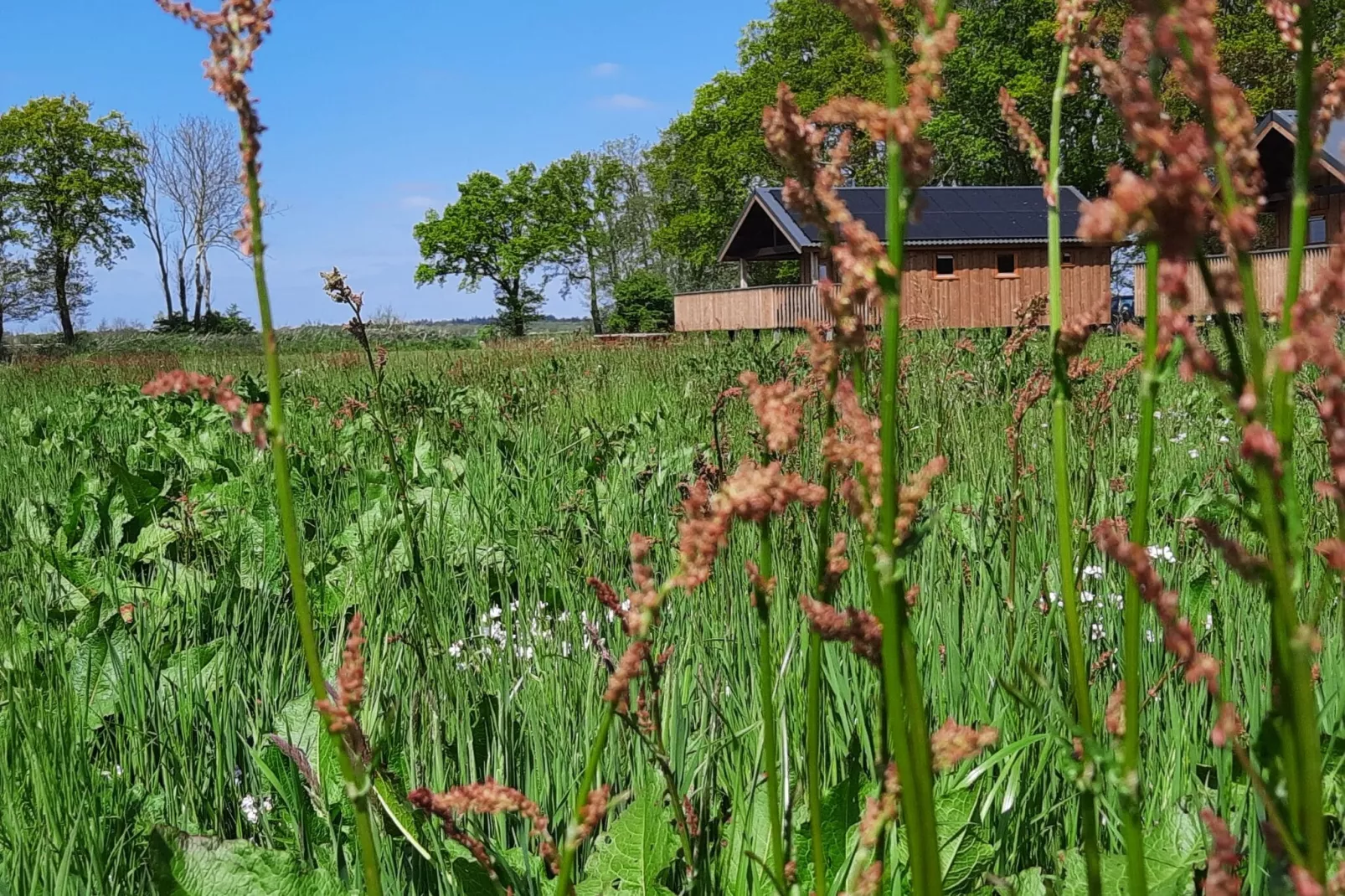 Acker Lodges 4-Buitenkant zomer